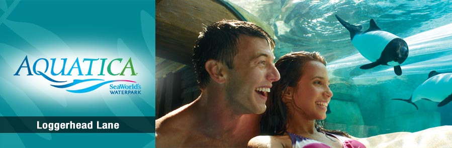 SeaWorld Orlando - Three Park Ticket - Acima de 3 anos 